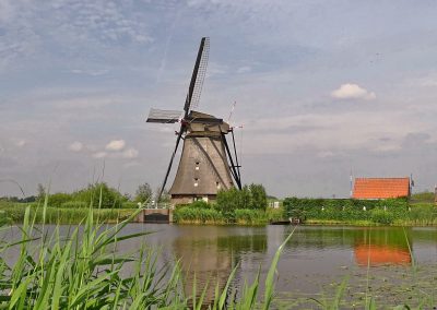New in the Netherlands