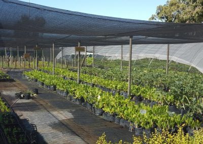 ARE YOU SPECIALISED IN AGRICULTURE?